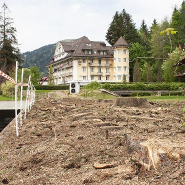 Kahlschlag sorgt für Unmut
