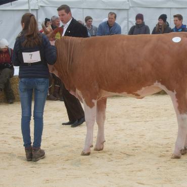 Ein guter Grund zum Feiern – die 10. Rinderexpo Saanenland