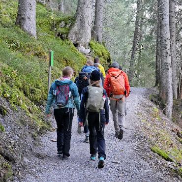 Nachhaltige Entwicklung am Arnesee - Passend zum Thema: eine Wanderung durch den Wald.
