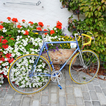 Gstaad Velo Classic: Vintagevelos frisch geölt - Die Vorgabe der Gstaad Velo Classic: nur Velos bis Baujahr 1990.