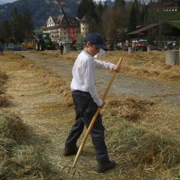Starke Simmentaler, ausgeglichenes Swiss Fleckvieh und Top-Red-Holstein- und Holsteinkühe