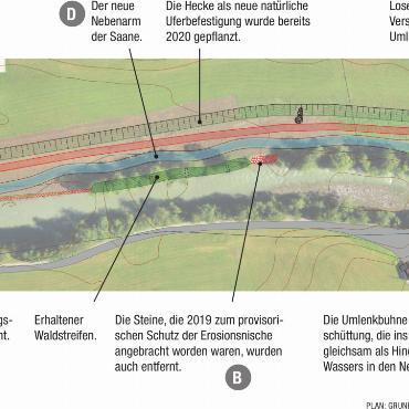 Nun darf die Saane wieder breiter fliessen