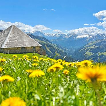 Saisoneröffnung in der Grubenberghütte - An Auffahrt startet die Grubenberghütte in die Sommersaion. FOTO: ZVG