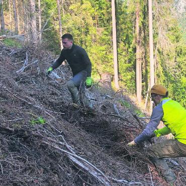 Erneuter Bergwaldprojekt-Einsatz in St. Stephan - Die Arbeit wird in Absprache mit dem lokalen Forstdienst und den Bäuertgemeinden erledigt.