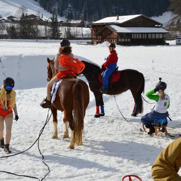Mit Pferd und Ski um die Wette fahren
