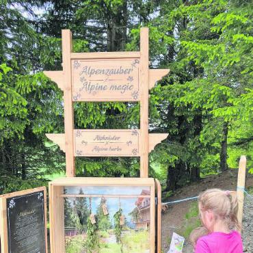 Zauber, zauberhaft, Alpenzauberweg - Wie heissen diese Alpenkräuter?