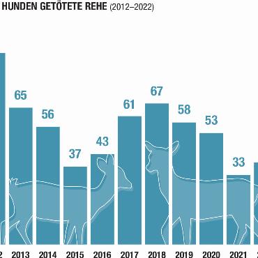 Gleicht der Kanton Bern die Leinenpflicht für Hunde den umliegenden Kantonen an? - Quelle: Jagdinspektorat des Kantons Bern, Jahresbericht 2022; Visualisierung: AvS/ Susanne Kaiser.