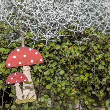 «Jetzt wollen wir den Louene Märet am Läbe bhalte»