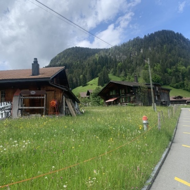 Erstwohnungen beim Walischi: Die Ausschreibung läuft - Auf dieser Parzelle plant die Gemeinde Saanen zwei Häuser mit insgesamt zwölf  Erstwohnungen. (Foto: Jenny Sterchi)