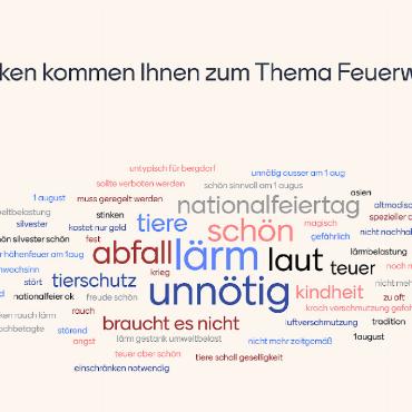 Mitreden, mitvoten, mitgestalten - Brainstorming zum Thema Feuerwerk über das Abstimmungstool...
