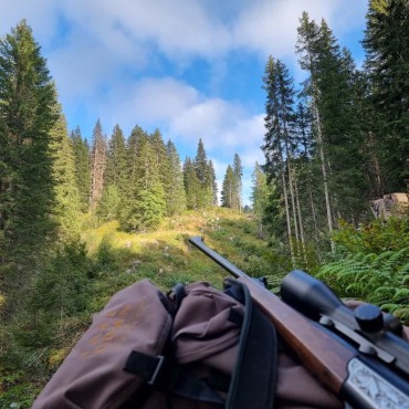 Die Jagd ist eröffnet - Des Jägers schönste Zeit: Die Jagdsaison ist eröffnet.  (Foto: zvg)