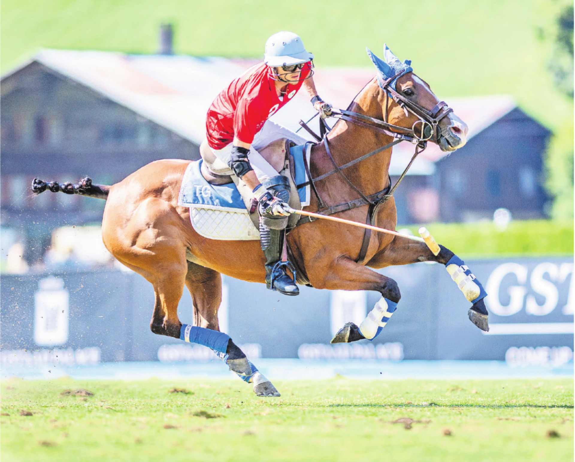Polosport: Ästhetik und Glamour