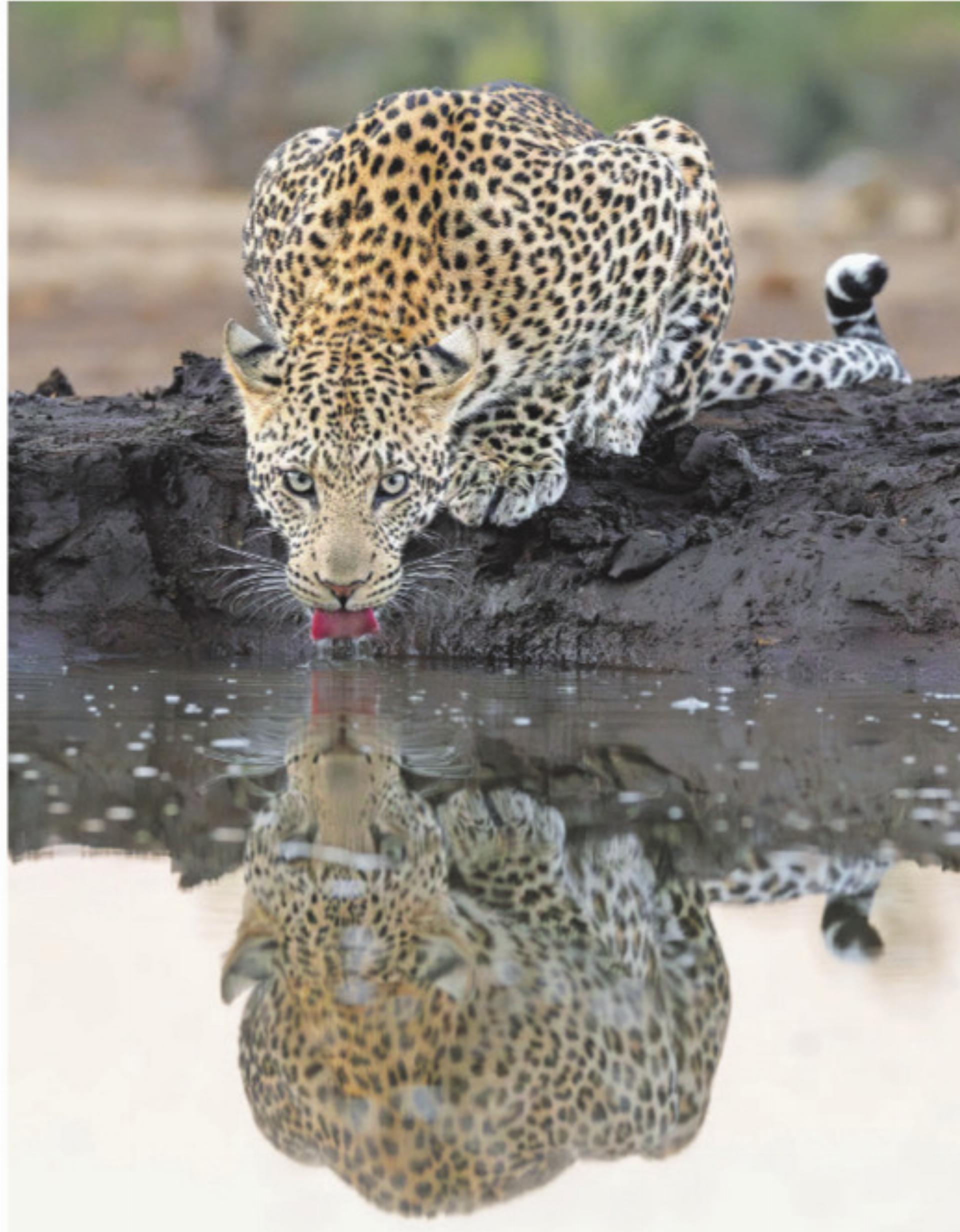 Afrika-Reisen, die berühren - Das Bild wird blockiert. – Möglicherweise durch einen aktiven Adblocker.