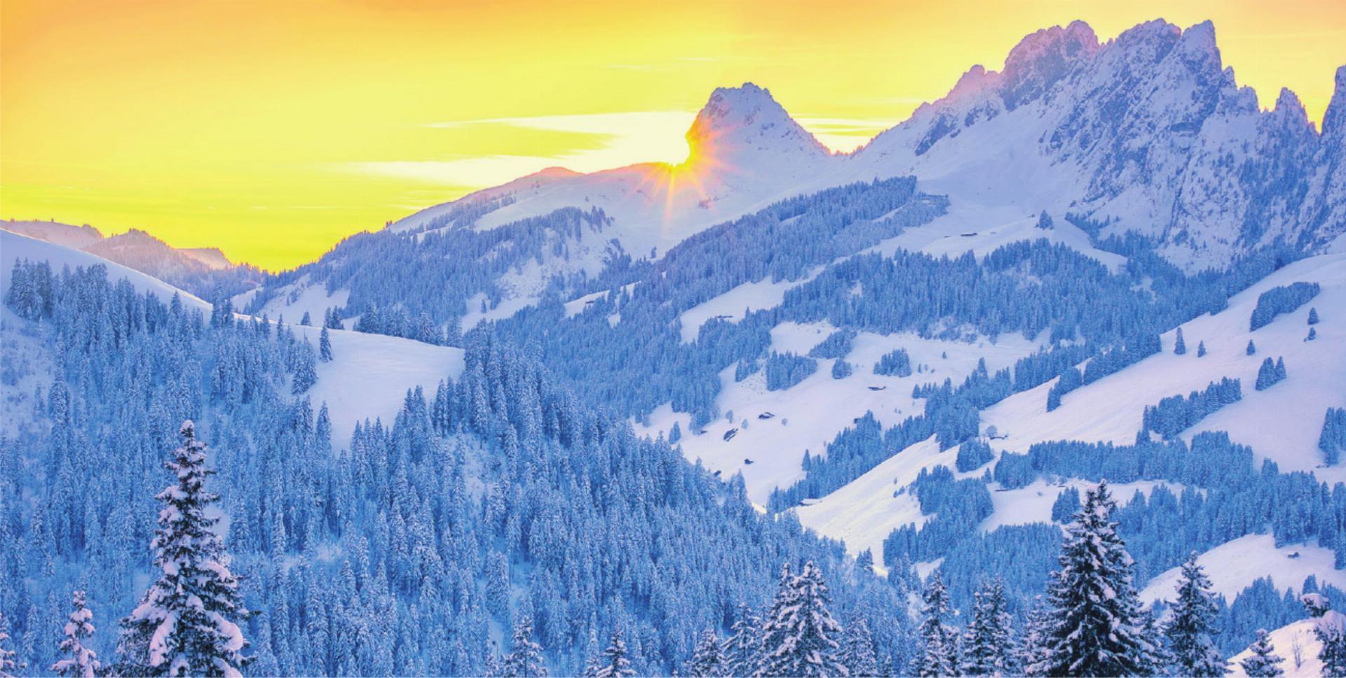 Trotzdem Ja zum Leben sagen – was uns Mut machen kann - Das Bild wird blockiert. – Möglicherweise durch einen aktiven Adblocker.