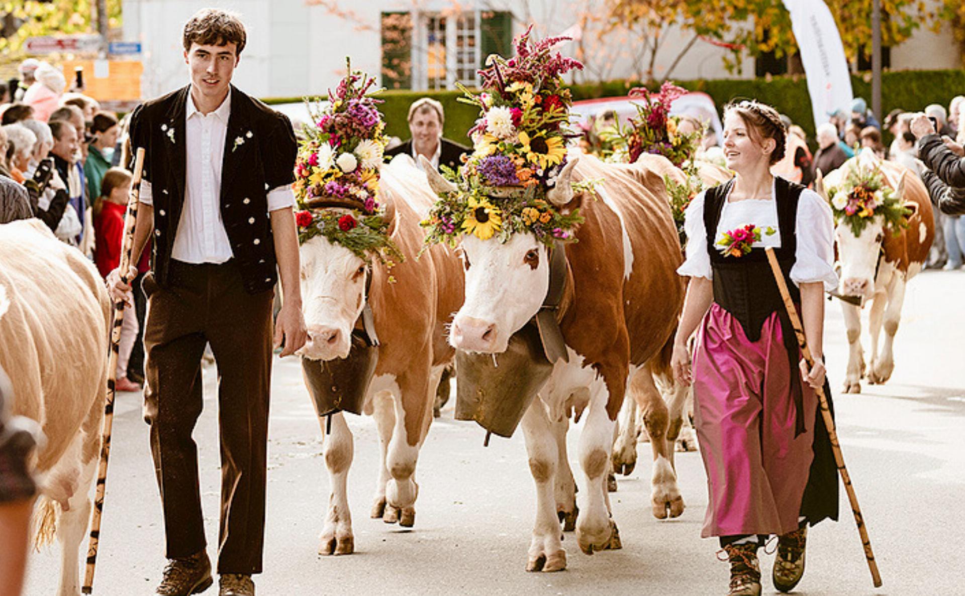 Älplerfest Lenk – gelebtes Brauchtum und Tradition mit Charme - Das Bild wird blockiert. – Möglicherweise durch einen aktiven Adblocker.