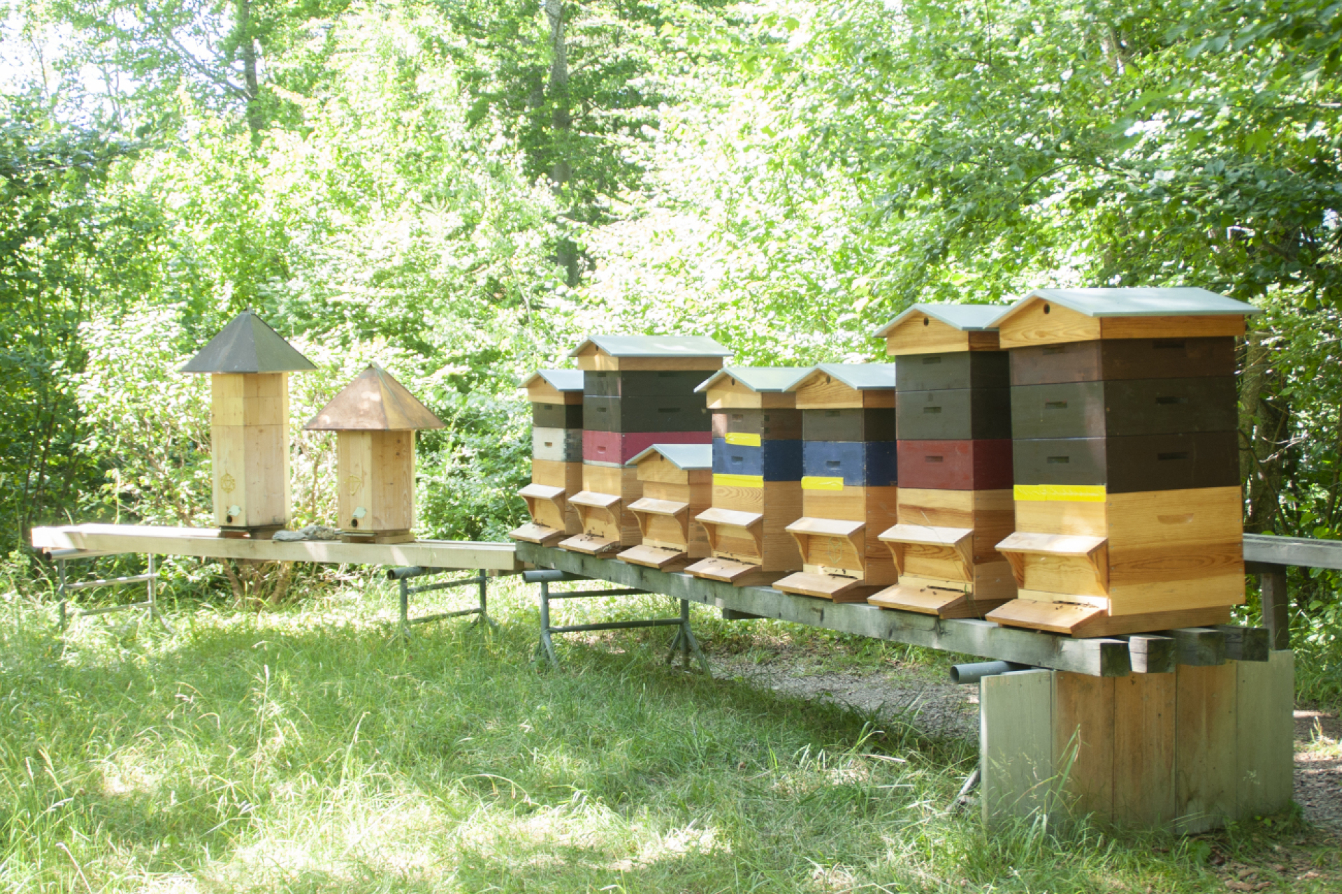 Idyllisch und in unmittelbarer Nähe des The Alpina Gstaad stehen die Bienenbeuten der hoteleigenen Bienen. (Foto: AvS)