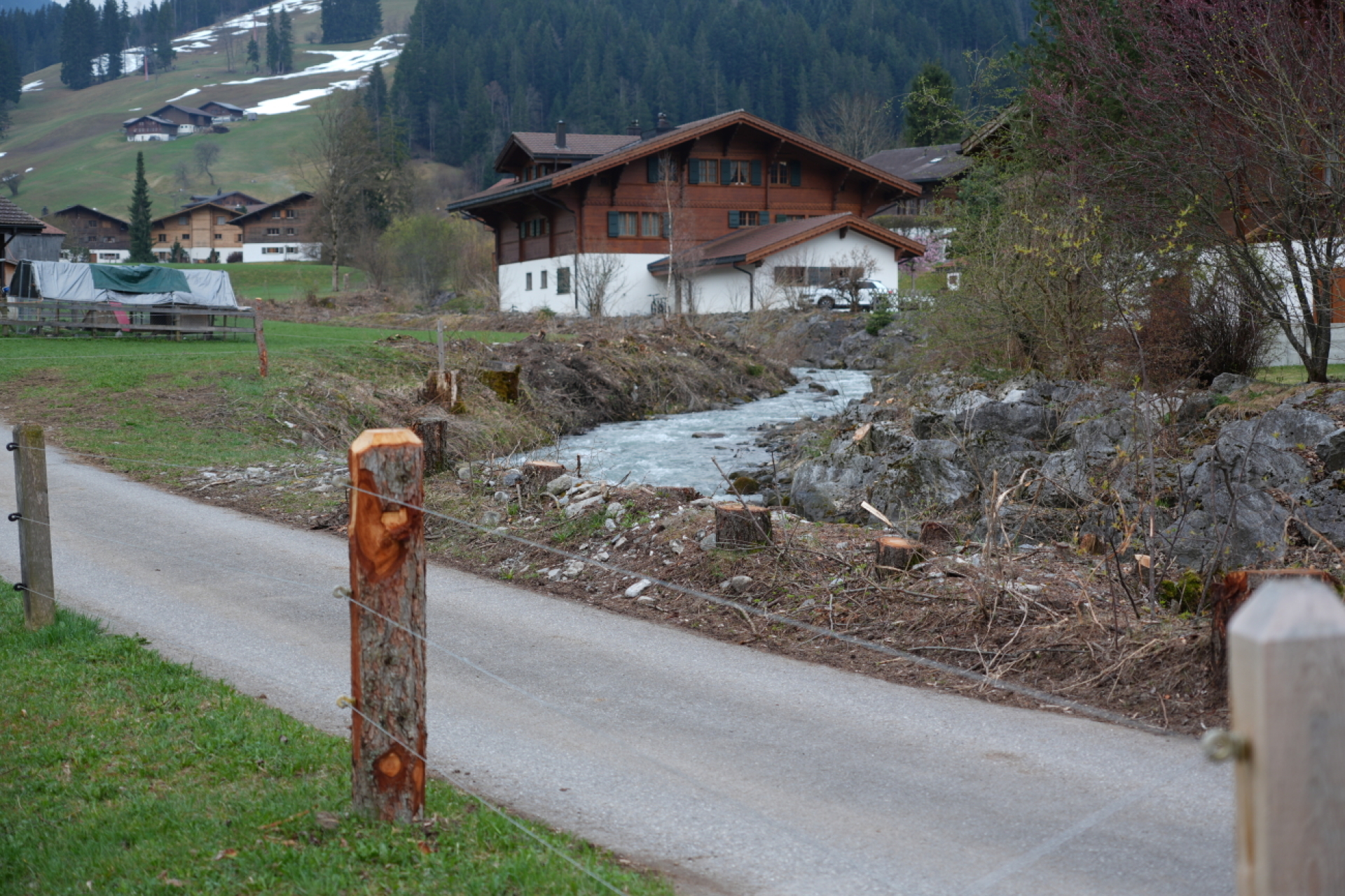Warum entlang der Saane Bäume gefällt werden - Das Bild wird blockiert. – Möglicherweise durch einen aktiven Adblocker.