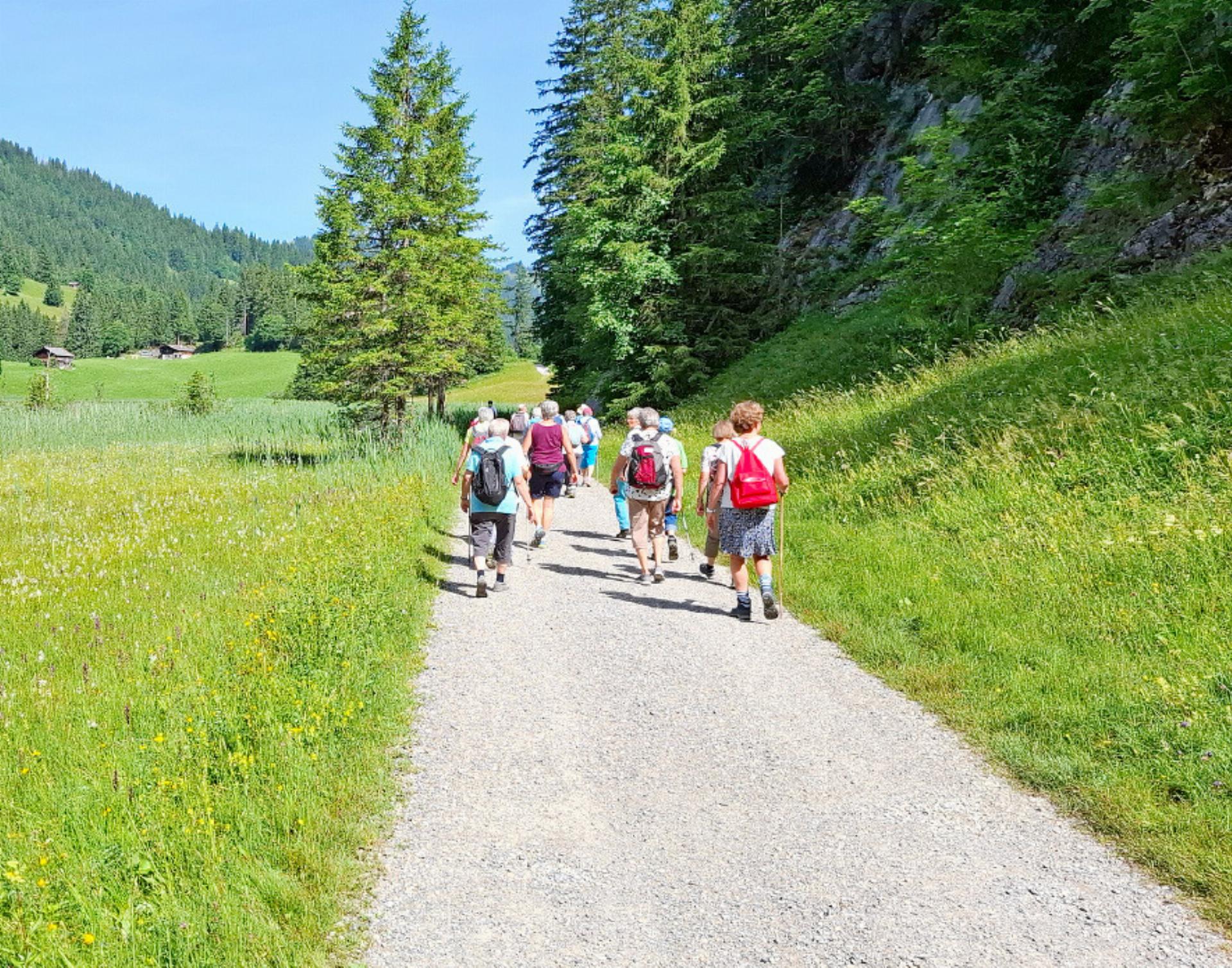 Seniorenwanderung vom Lauenensee nach Lauenen