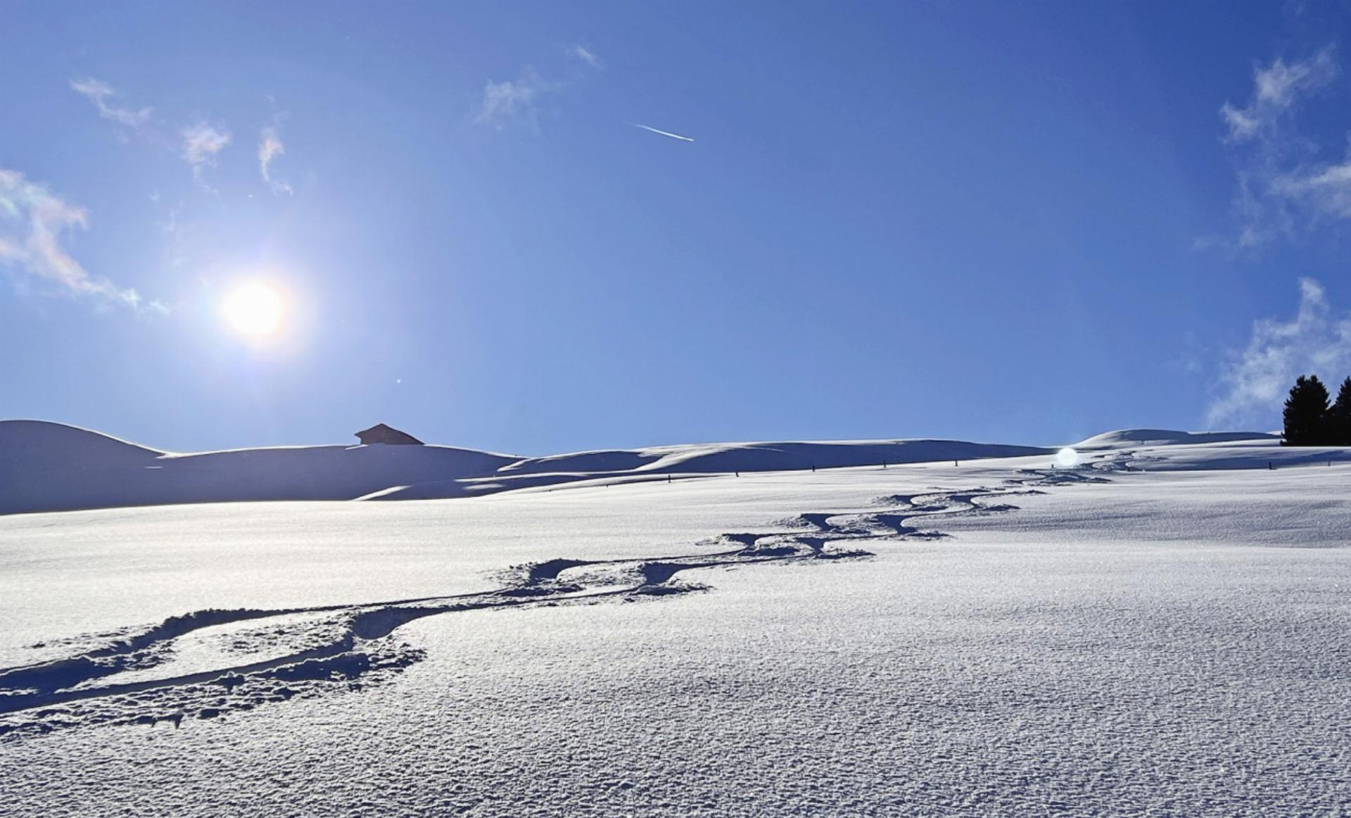 LESERBILD - Das Bild wird blockiert. – Möglicherweise durch einen aktiven Adblocker.
