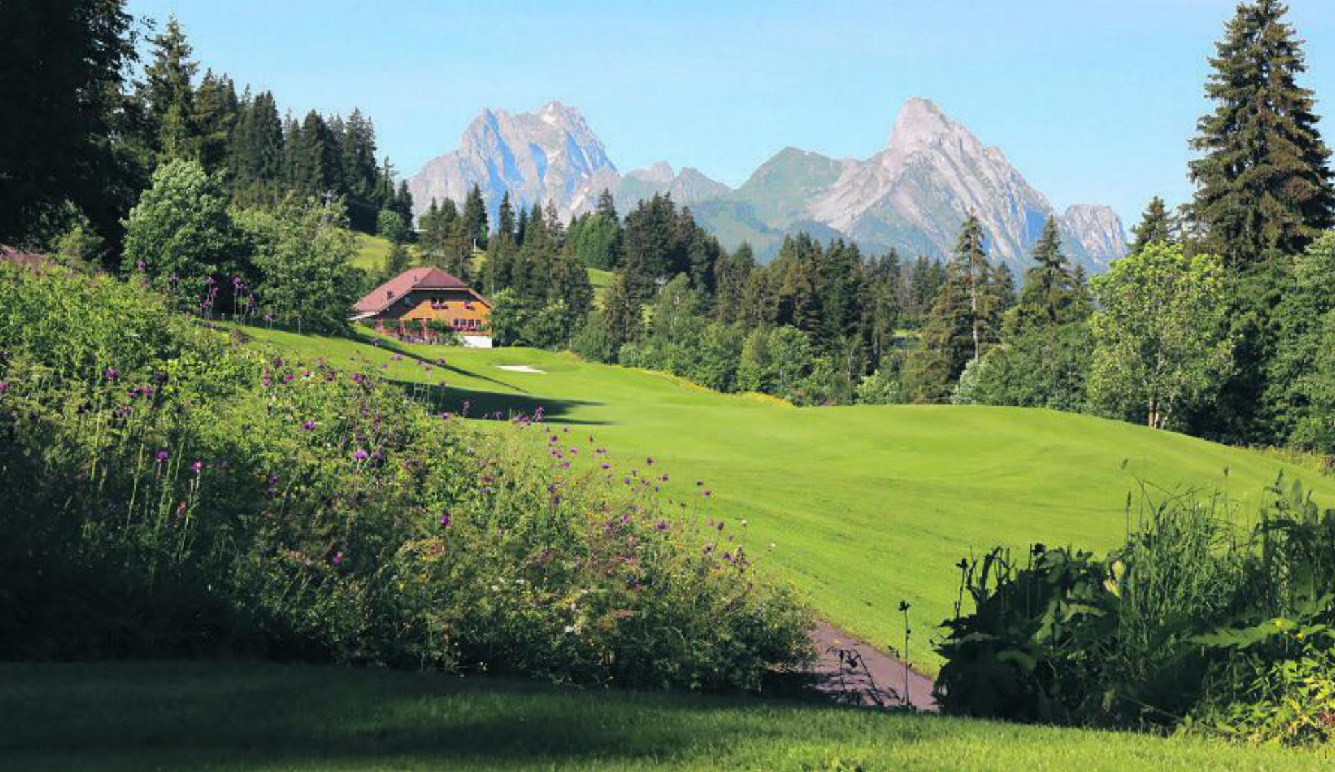 Der Golfclub Gstaad-Saanenland bietet Schnupperkurse an. FOTO: ZVG