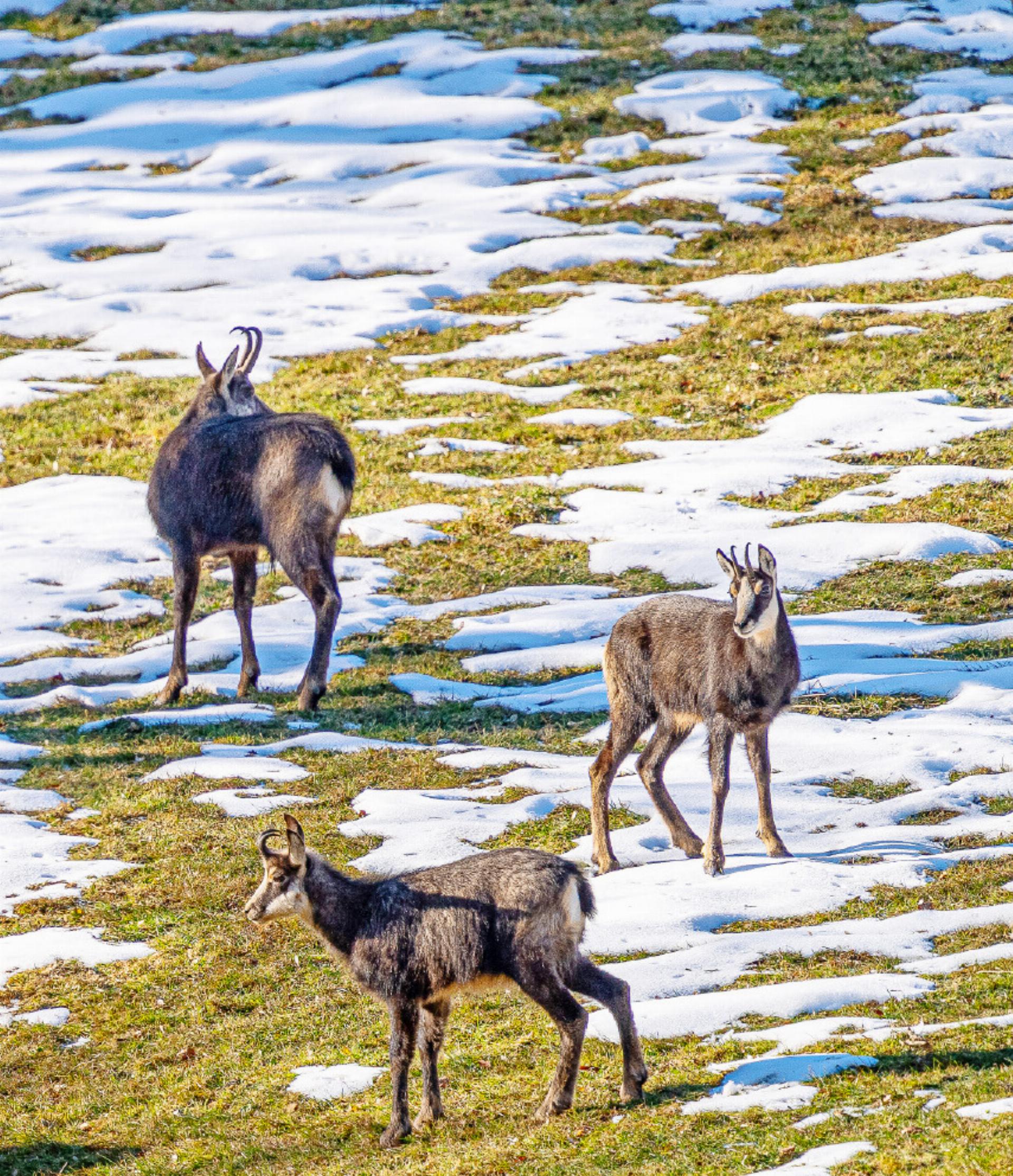LESERBILD - Das Bild wird blockiert. – Möglicherweise durch einen aktiven Adblocker.