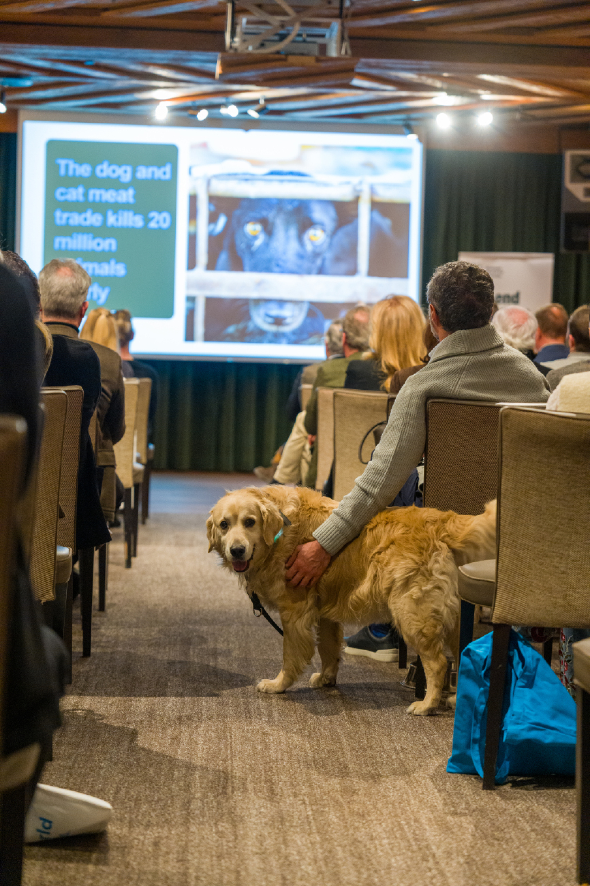Gstaad engagiert sich für Humane World for Animals - Das Bild wird blockiert. – Möglicherweise durch einen aktiven Adblocker.