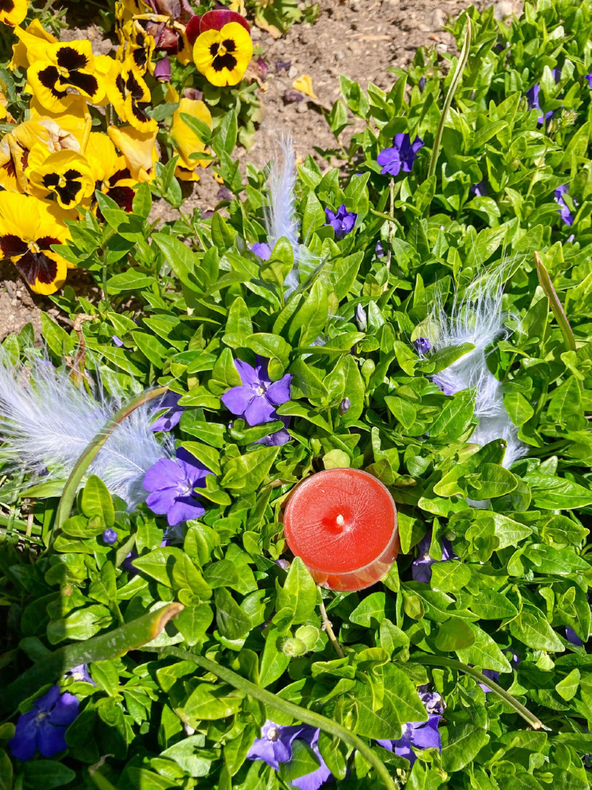 Die Erinnerung geht weiter - Das Bild wird blockiert. – Möglicherweise durch einen aktiven Adblocker.