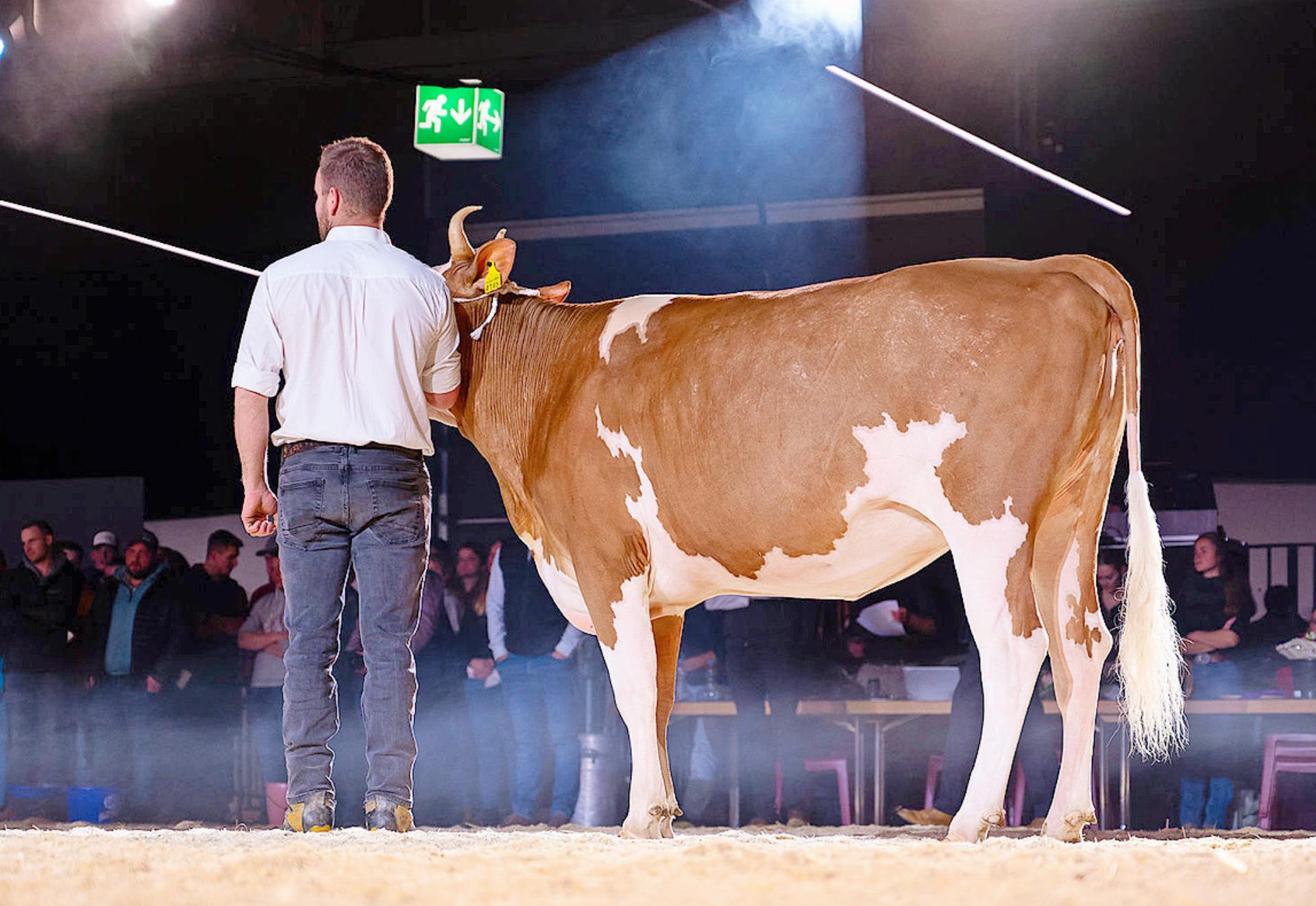 Ein Kategoriensieg für die Saaner Jungzüchter - Das Bild wird blockiert. – Möglicherweise durch einen aktiven Adblocker.