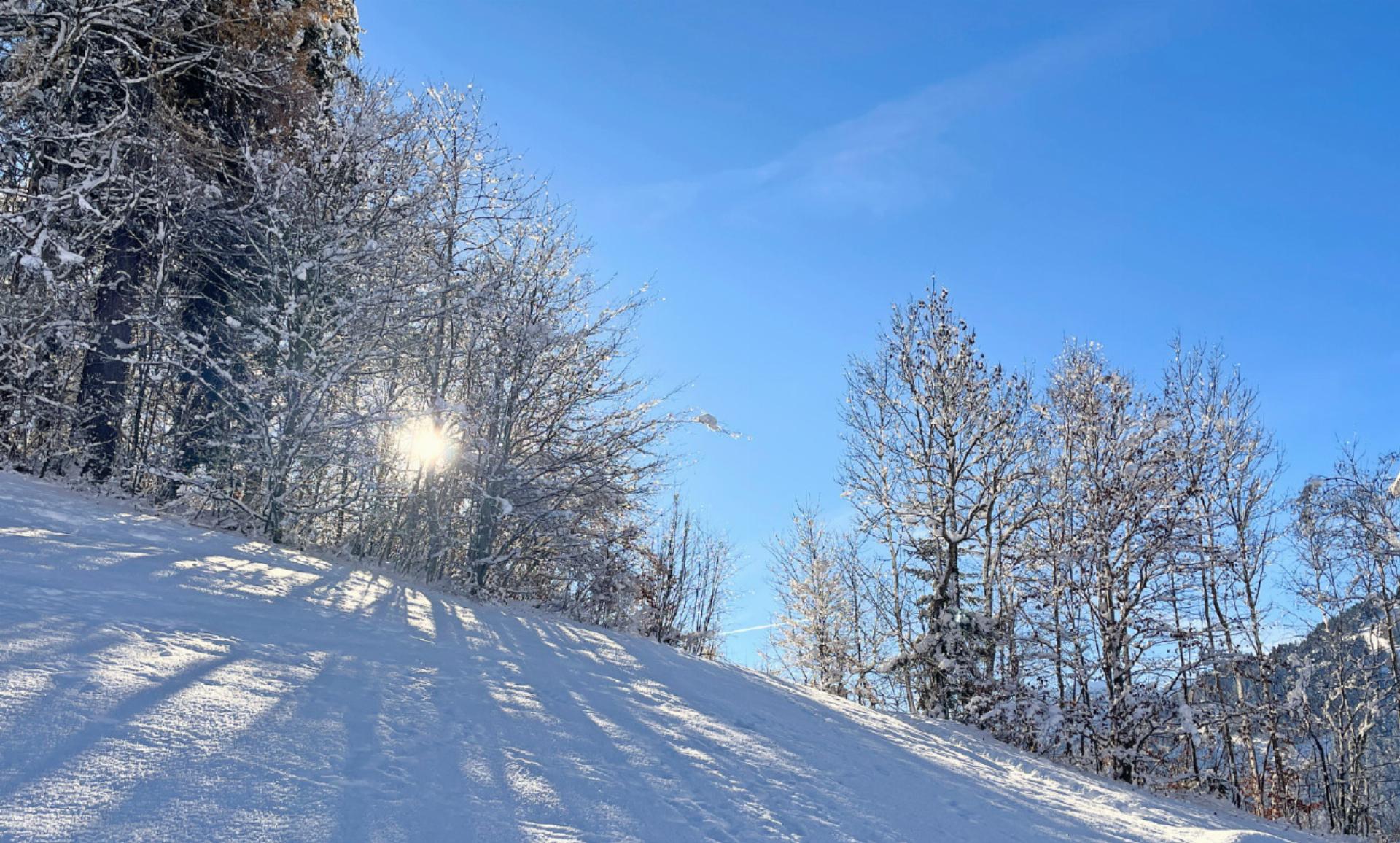 Ein gefundener «Grabstein» sorgt für einen Lichtblick im Drohnenhagel - Das Bild wird blockiert. – Möglicherweise durch einen aktiven Adblocker.