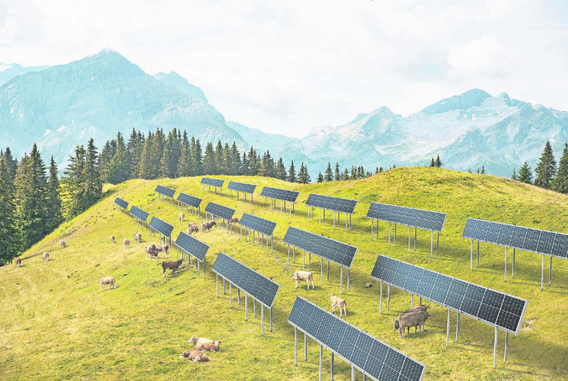Die Visualisierung verbildlicht die alpinen Fotovoltaik-Grossanlagen, die zukünftig im Saanenland an verschiedenen Standorten erneuerbare Energien liefern sollen. VISUALISIERUNG: SOLSARINE