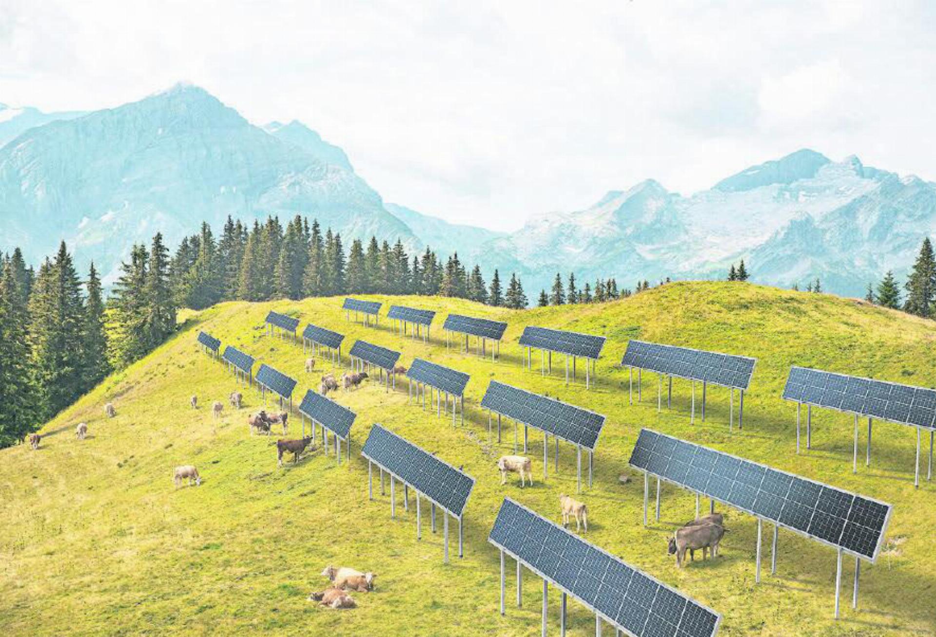 Die Visualisierung verbildlicht die alpinen Fotovoltaik-Grossanlagen, die zukünftig im Saanenland an verschiedenen Standorten erneuerbare Energien liefern sollen. VISUALISIERUNG: SOLSARINE