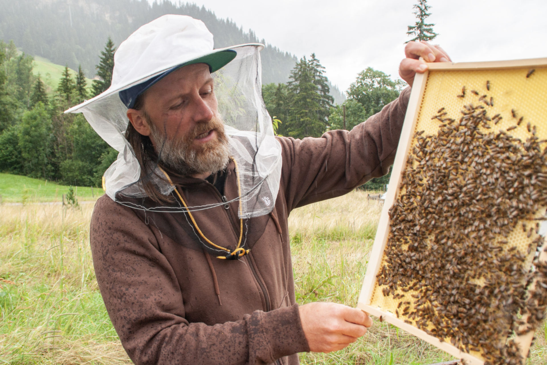 Stefan Neuhaus erklärt: «Bienen agieren in einem Aktionsradius von vier bis acht Kilometern. Im Idealfall liegt die Haupnahrung zu rund 65 Prozent innerhalb eines Perimeters von 1,6 Kilometern. (Foto: AvS)