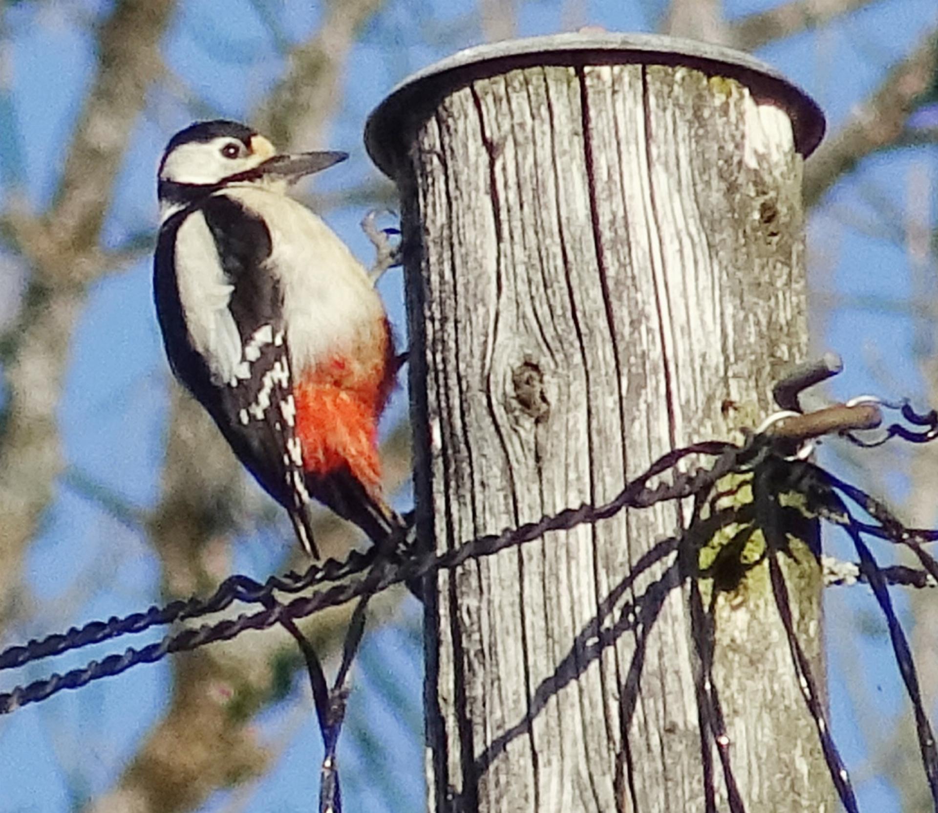 LESERBILD - Das Bild wird blockiert. – Möglicherweise durch einen aktiven Adblocker.