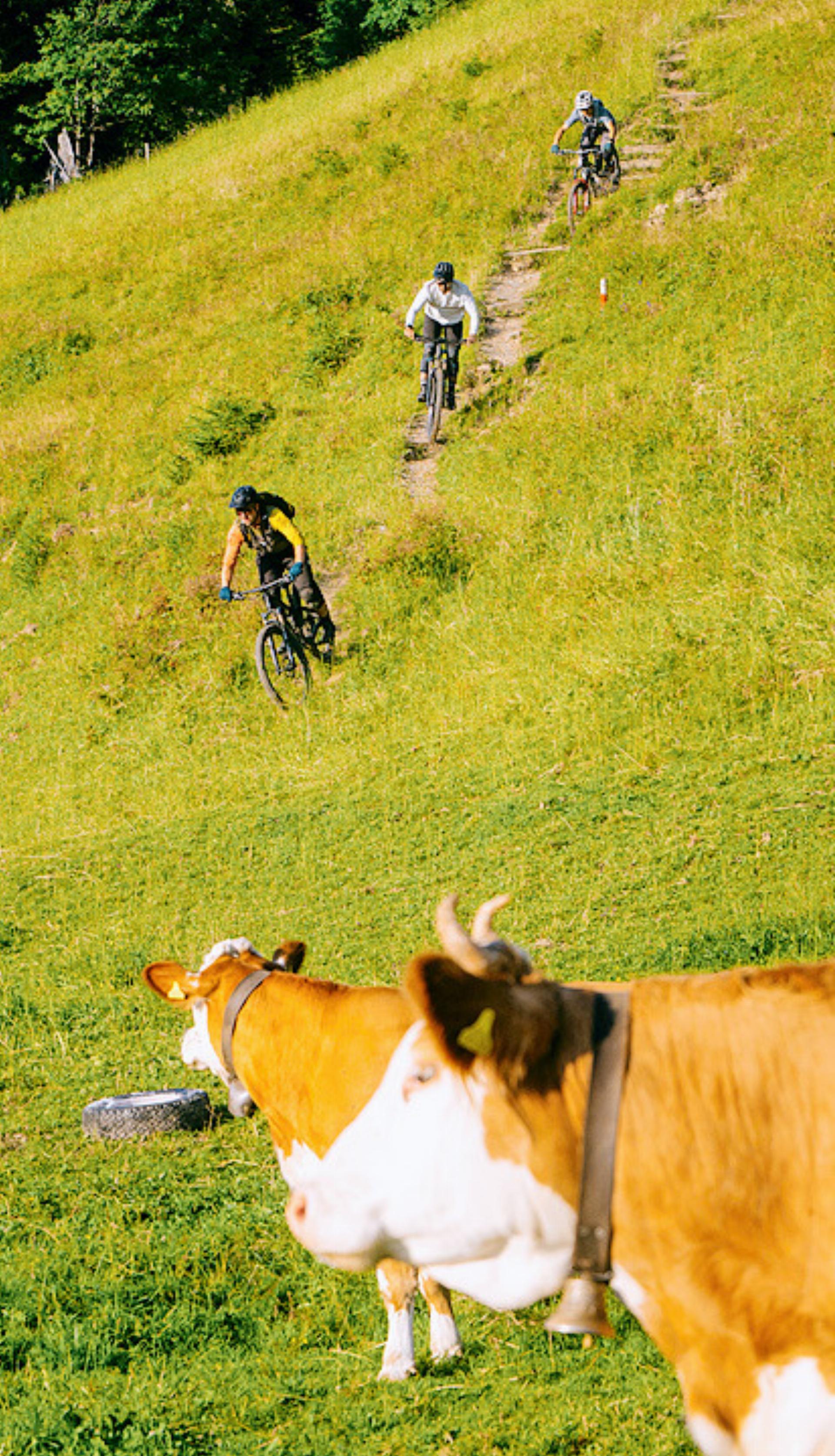 Indian Summer Sale beim Base Bike Shop Saanen - Das Bild wird blockiert. – Möglicherweise durch einen aktiven Adblocker.