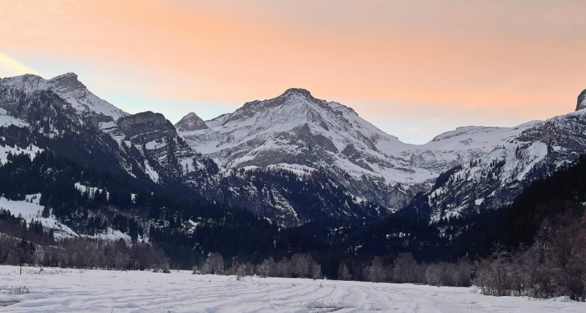 LESERBILD - Das Bild wird blockiert. – Möglicherweise durch einen aktiven Adblocker.