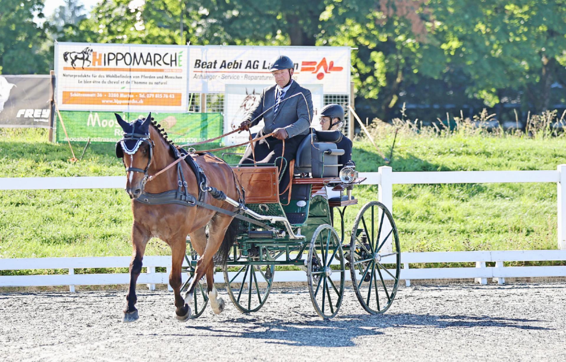 Bronzemedaille an der Schweizermeisterschaft für junge Sportpferde