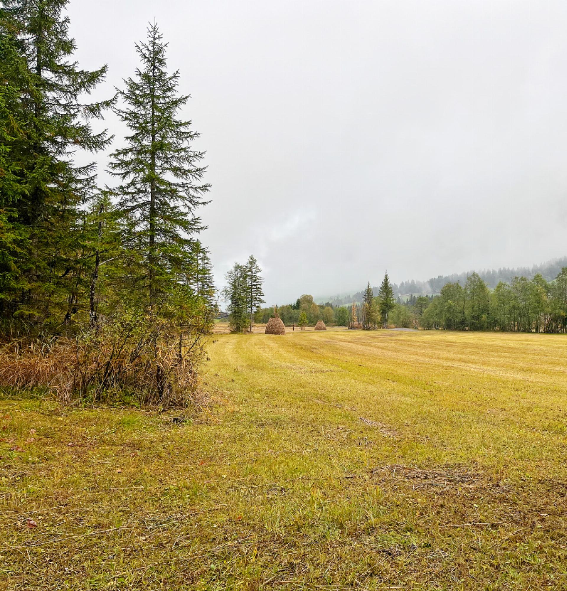 LESERBILD - Das Bild wird blockiert. – Möglicherweise durch einen aktiven Adblocker.