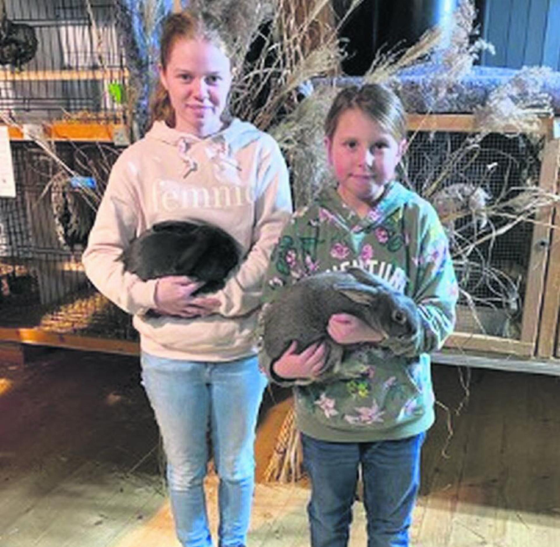 Die beiden erfolgreichen Jungzüchterinnen Svenja Eschler (links) und Lynn Aeschbacher mit ihren ausgezeichneten Tieren. FOTO: ZVG