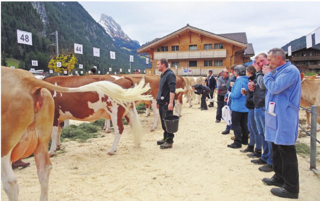 Lagebeurteilung vor der Schau: Ein Kaffee kann zwei Mal wärmen, zuerst an den Händen und dann im Magen. Lagebeurteilung vor der Schau: Ein Kaffee kann zwei Mal wärmen, zuerst an den Händen und dann im Magen.