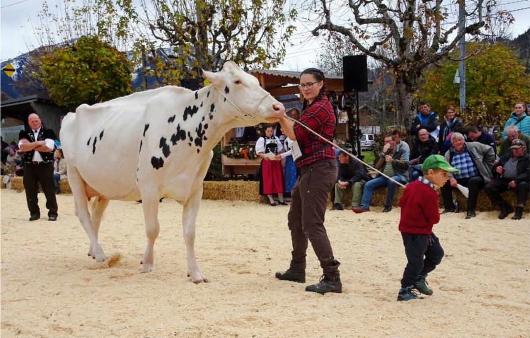 «Mama, ich helfe dir ziehen!» «Mama, ich helfe dir ziehen!»