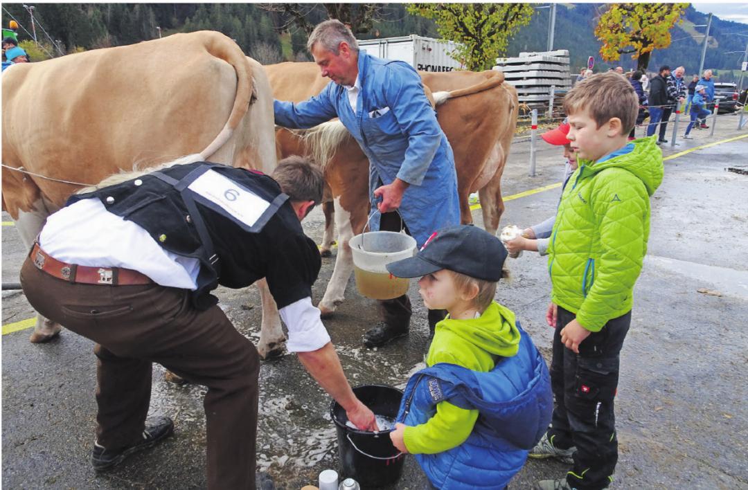 Die letzten Vorbereitungen vor dem Ring: «Papa, machs gut mit Flavia!» Die letzten Vorbereitungen vor dem Ring: «Papa, machs gut mit Flavia!»