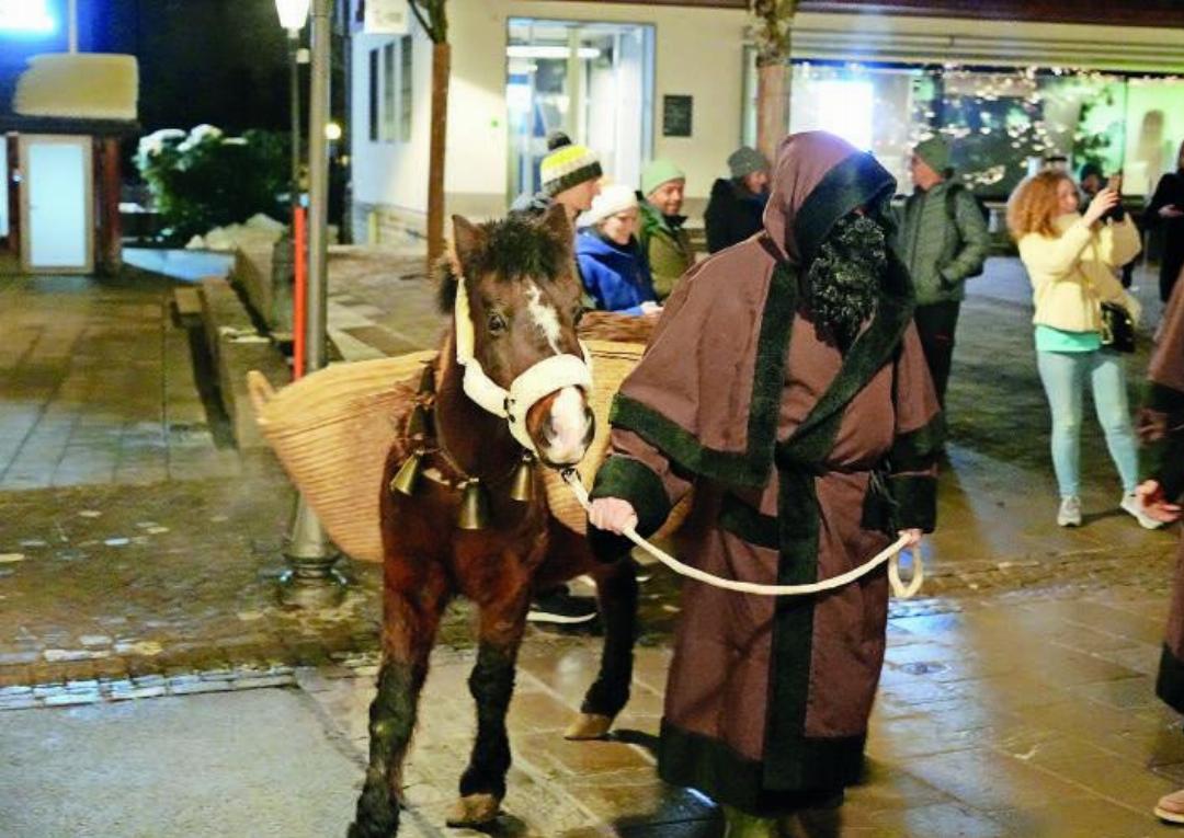 Das Pony Knut mit dem Schmutzli. Das Pony Knut mit dem Schmutzli.