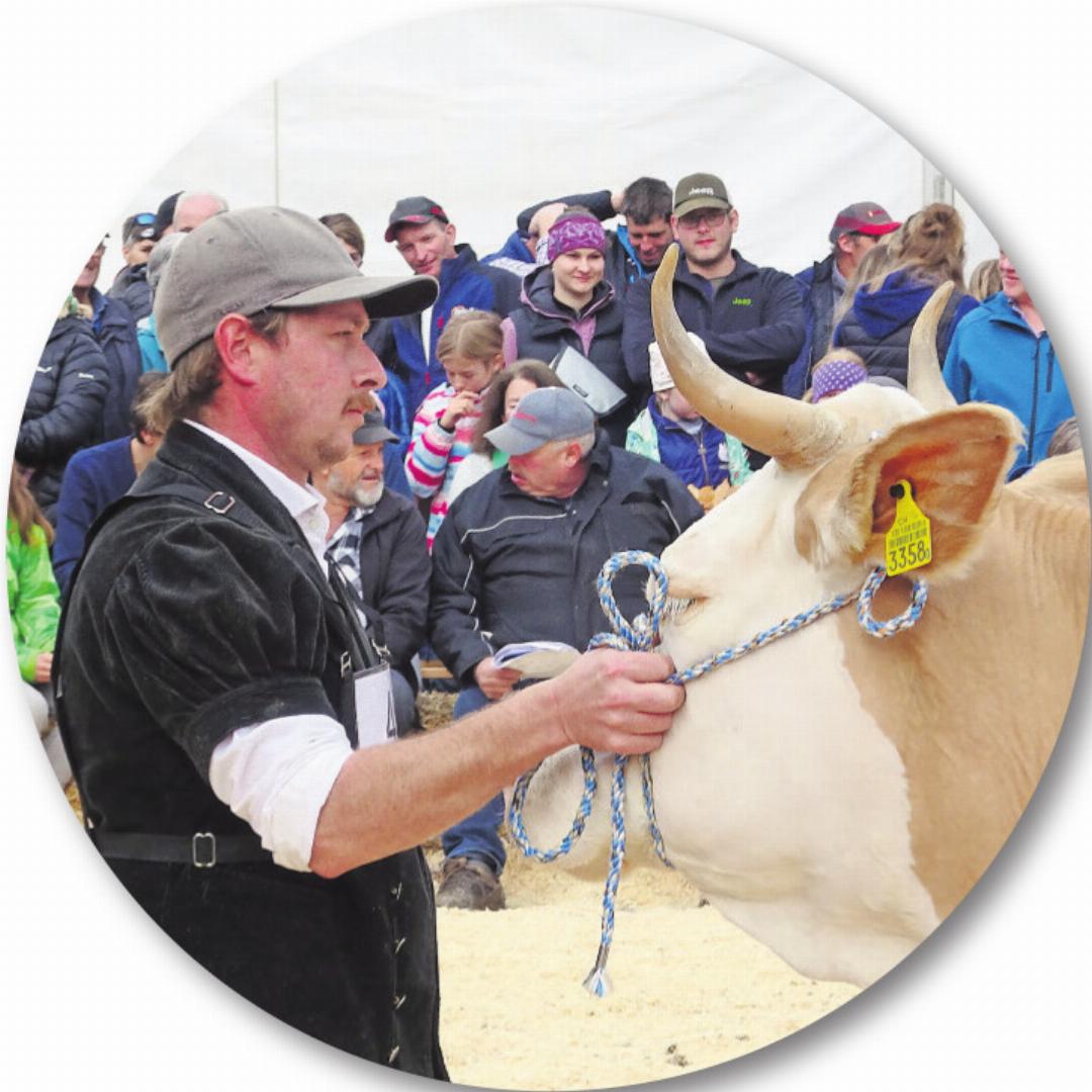 «Schön ruhig, Valerie!» «Schön ruhig, Valerie!»