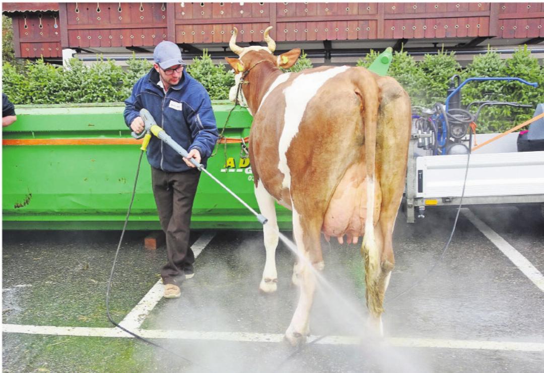 Für die Aussteller steht alles bereit, auch ein Hochdruckreiniger für ihre Kühe. Für die Aussteller steht alles bereit, auch ein Hochdruckreiniger für ihre Kühe.