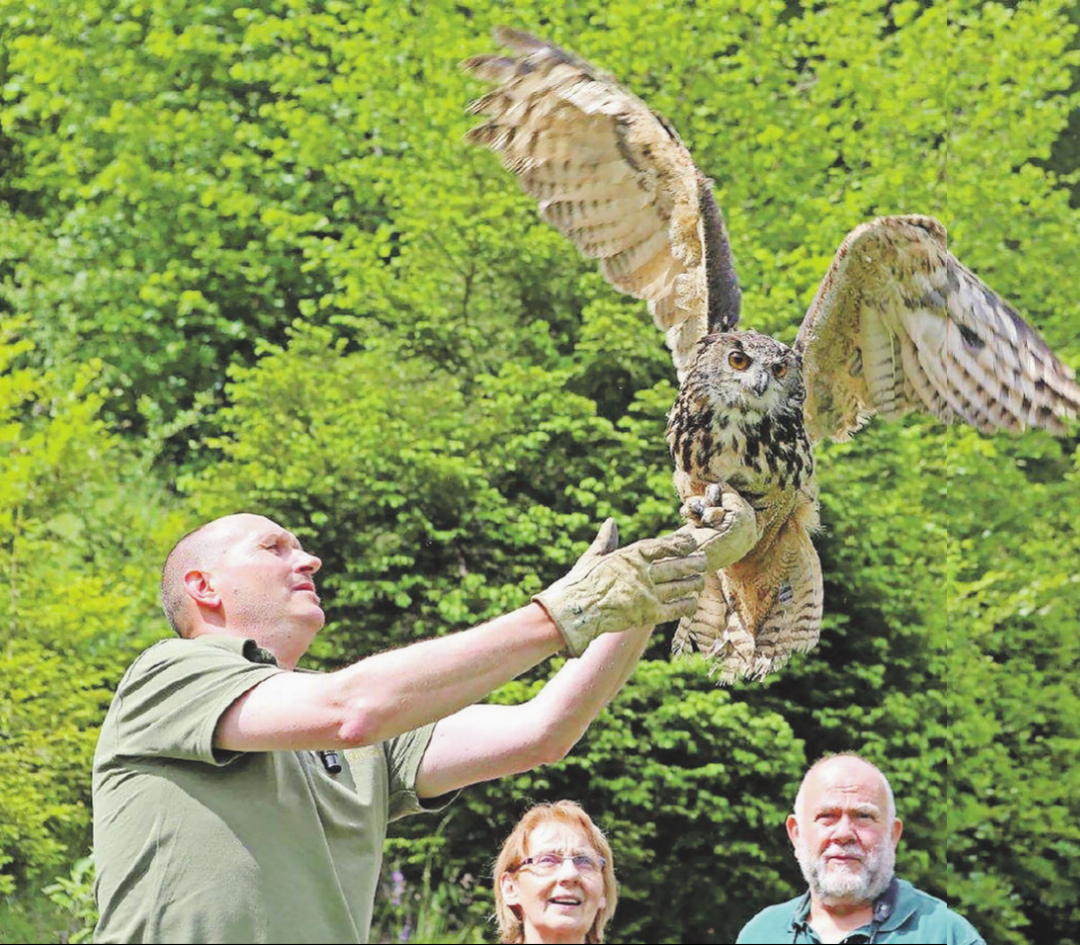 Ein Uhu wird ausgewildert. Mit Wildhüter Kurt Schweizer (links), Verena Stauffer und Tierarzt Andreas Küttel. Ein Uhu wird ausgewildert. Mit Wildhüter Kurt Schweizer (links), Verena Stauffer und Tierarzt Andreas Küttel.