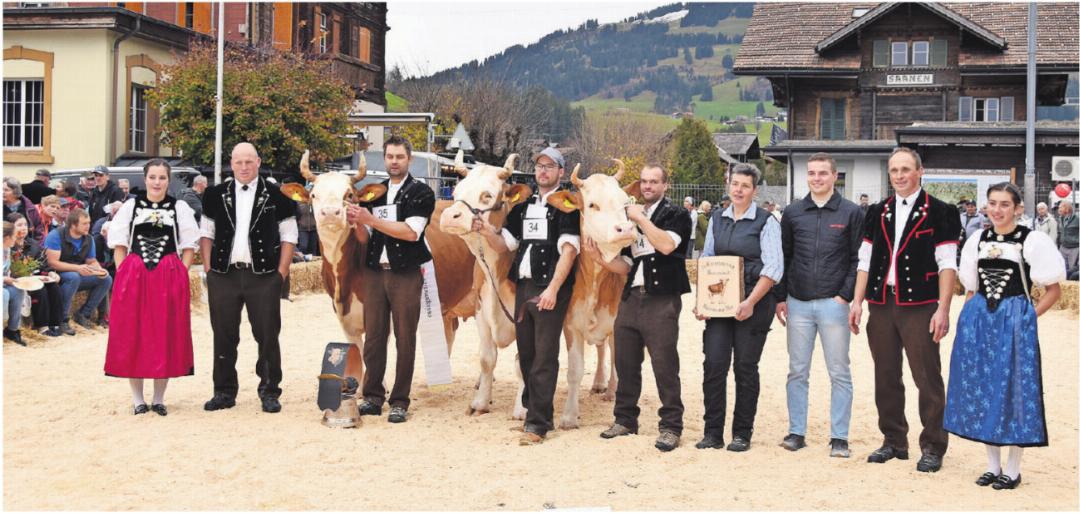 Simmental: v.l. Miss Topschau Brisago Canada, Ehrerwähnung Wendolyn Wylona und Miss Schöneuter Unetto Manuela. FOTOS: VRENI MÜLLENER Simmental: v.l. Miss Topschau Brisago Canada, Ehrerwähnung Wendolyn Wylona und Miss Schöneuter Unetto Manuela. FOTOS: VRENI MÜLLENER