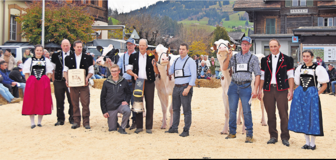 Redholstein/Holstein: vl. Miss Schöneuter Pink Flower, Miss Topschau Power Faida und Ehrerwähnung Redholstein/Holstein: vl. Miss Schöneuter Pink Flower, Miss Topschau Power Faida und Ehrerwähnung