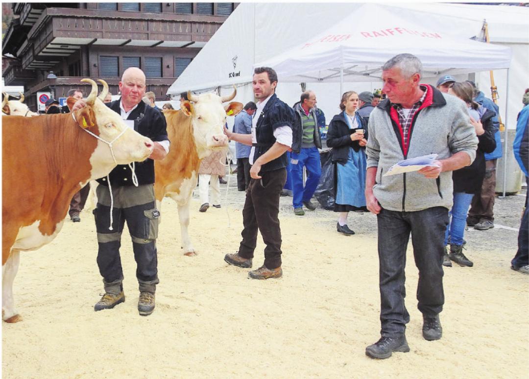 Helmut Matti sorgt für einen geregelten Ablauf vor dem Ring. Helmut Matti sorgt für einen geregelten Ablauf vor dem Ring.