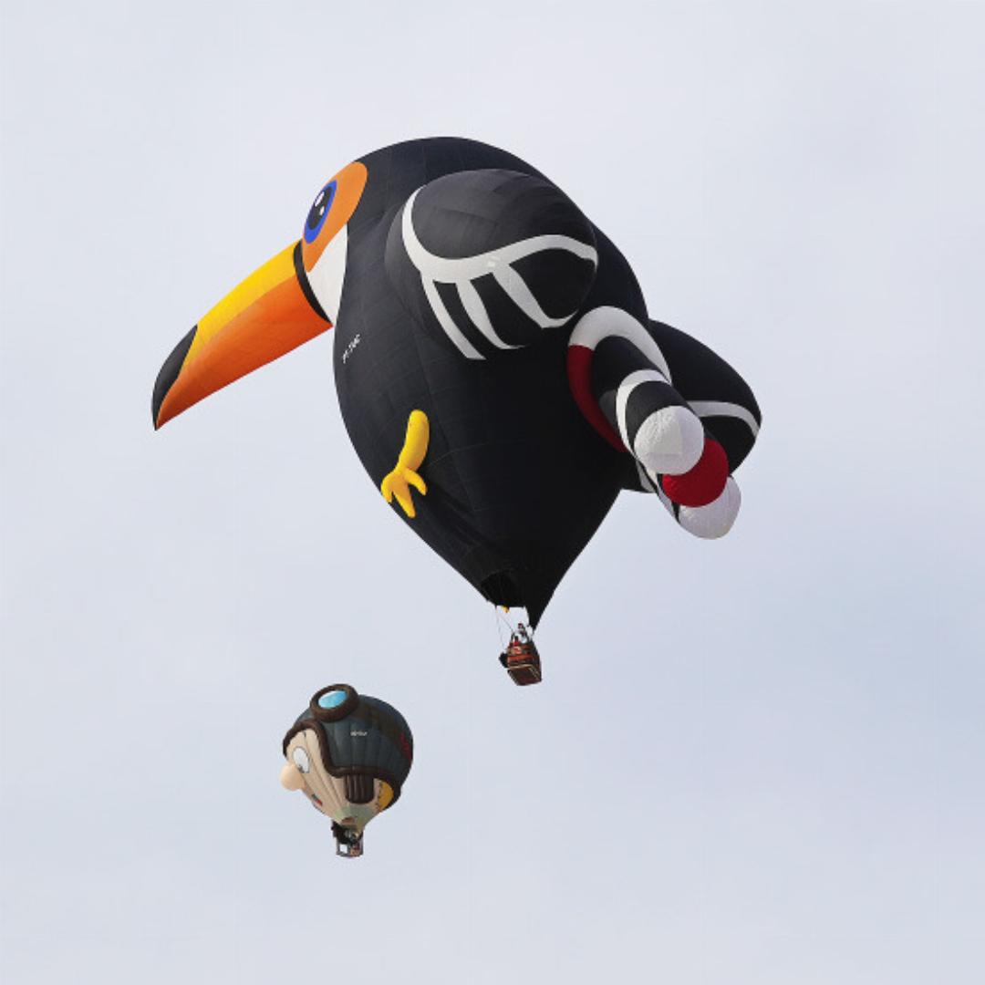 Der brasilianische Tukan... Der brasilianische Tukan...