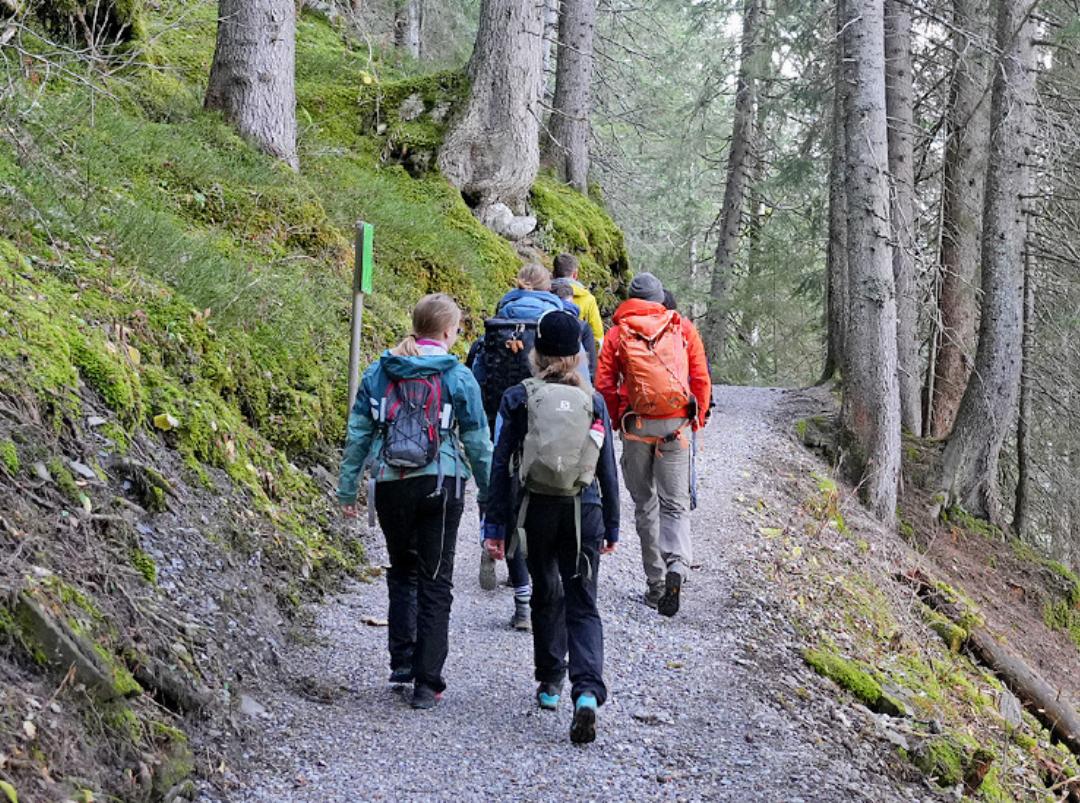 Passend zum Thema: eine Wanderung durch den Wald. Passend zum Thema: eine Wanderung durch den Wald.